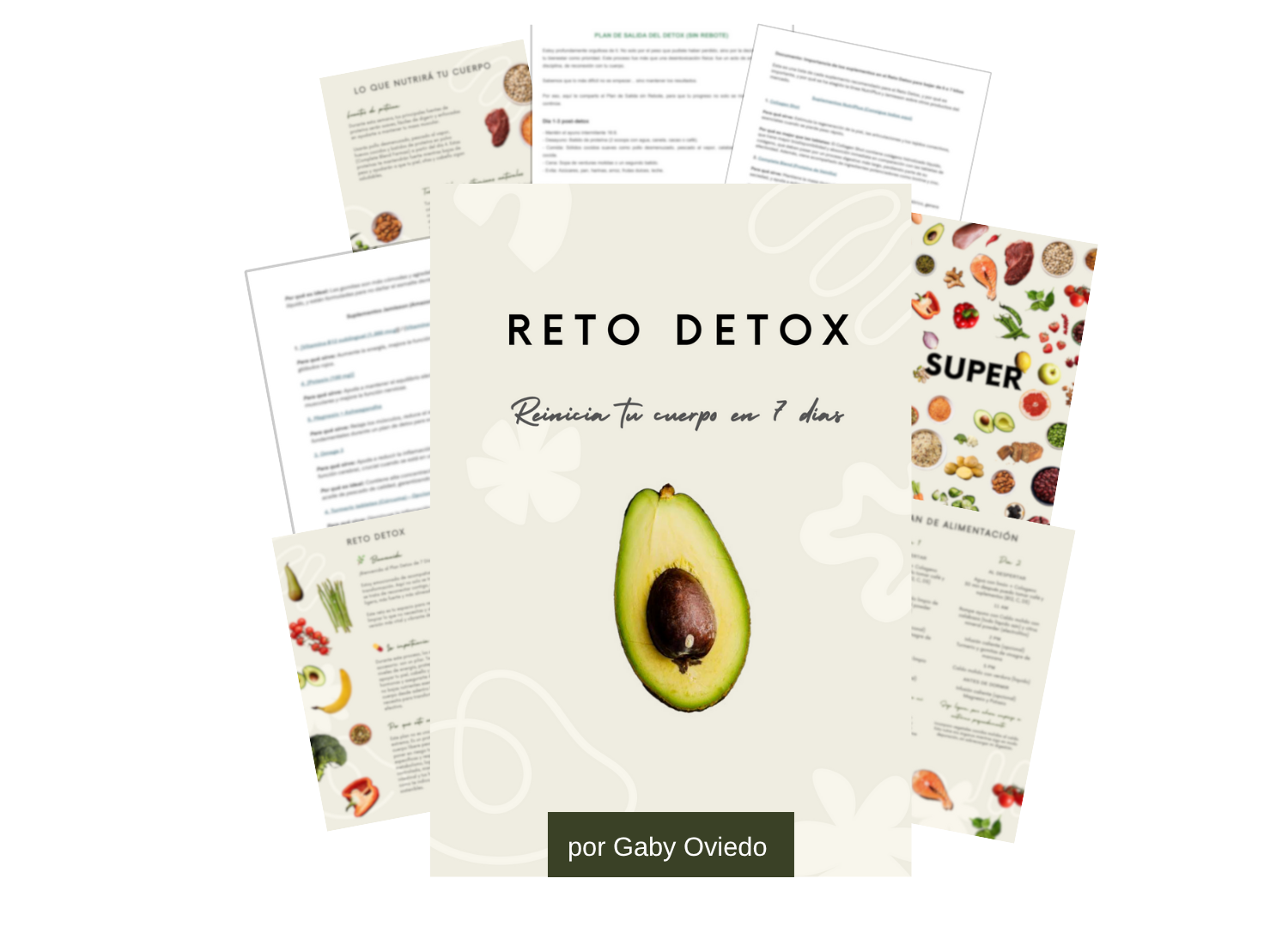 7 días de plan detox efecto bypass by gaby oviedo